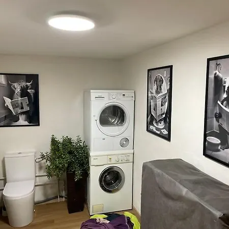 Mit Bar Und Sauna * דודרשטאט