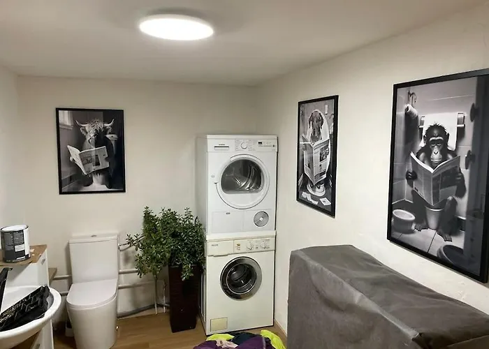 Mit Bar Und Sauna * 杜德城